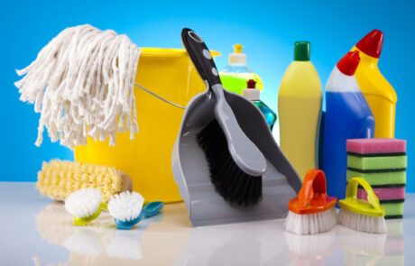 Domestic cleaning products